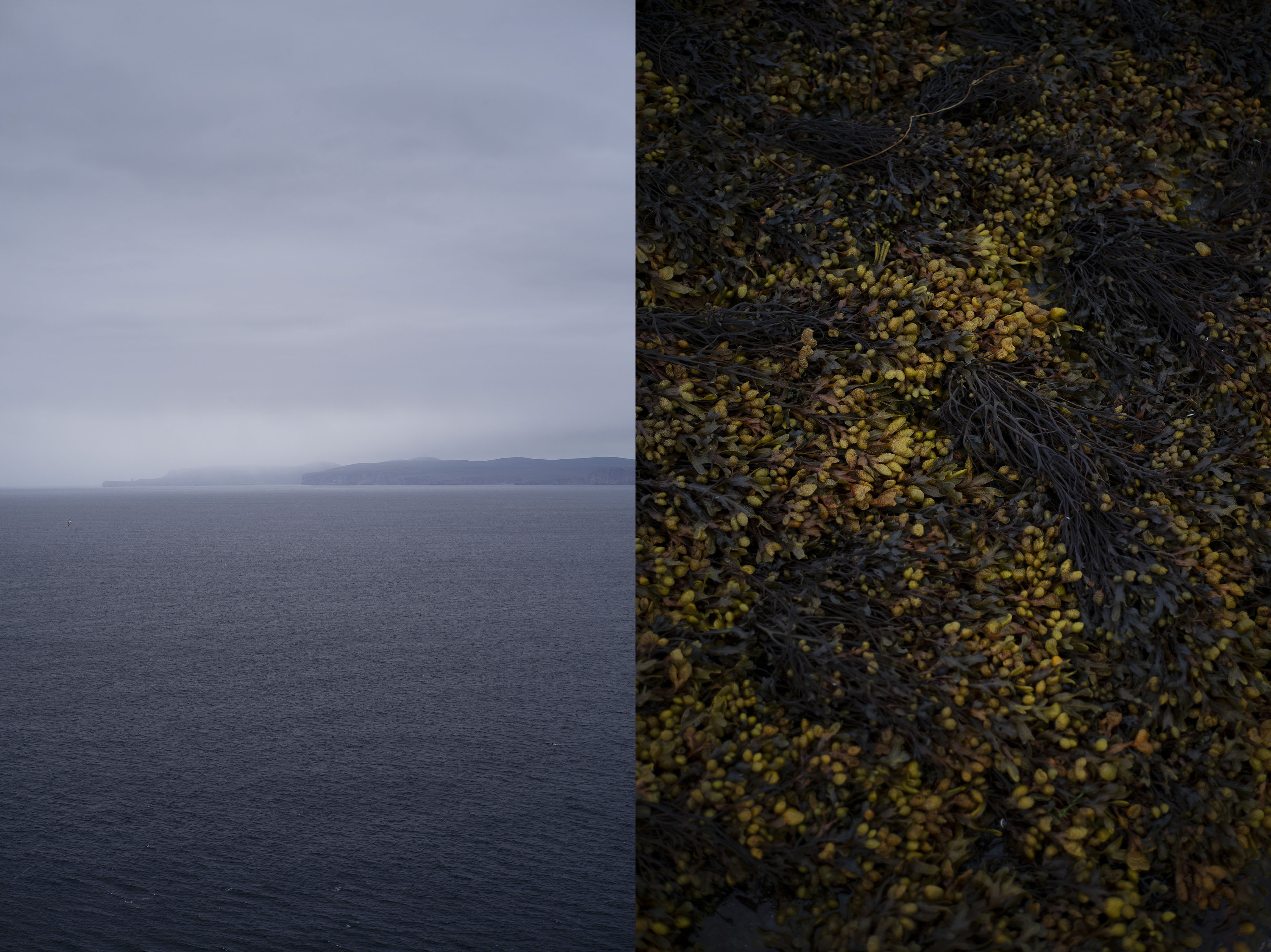 Vincent Leroux, To the Lighthouse