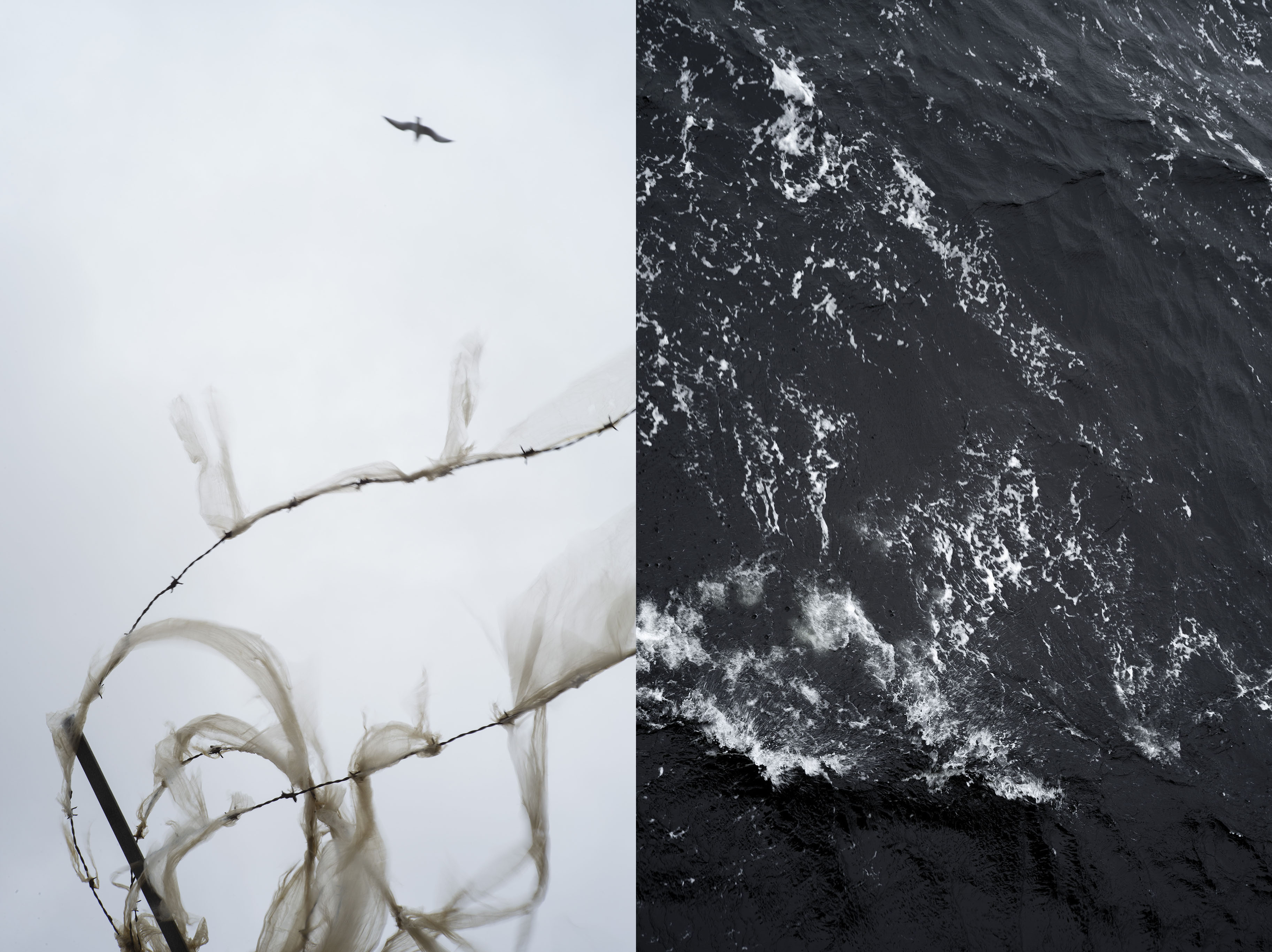 Vincent Leroux, To the Lighthouse